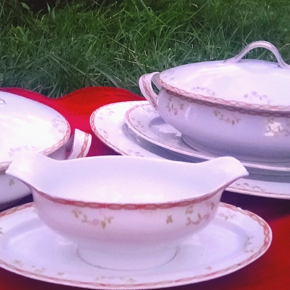 Antique O & E.G. Royal Austrian China Part 2 - Picture 2 of 10